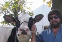 Entrevista a Hernán Marini – Uruguay exporta, innovando el sector lechero