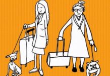 Alta demanda de certificados para viajar con mascotas al exterior