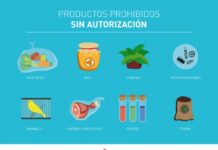 Consejos para turistas sobre lo que pueden ingresar a la Argentina