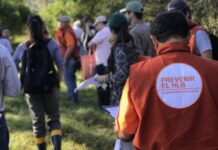 ¿Cómo podemos evitar que entre el HLB a la Argentina?