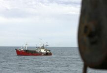 Spring ban on hake set