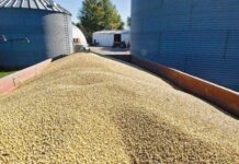 Government launches 100 grain wagons in an operation