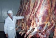 Argentina: Habilitan importación de carne desde Brasil