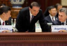 Argentina busca inversiones chinas para la minería