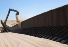 EE.UU. inicia construcción de prototipos del muro en San Diego