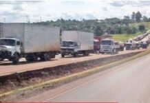 Cámara de puertos invita a ofrecer servicios de estiba en zona Rosario
