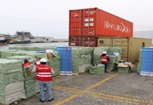 Aduana de Chile incauta contenedor con zapatillas falsas en Iquique