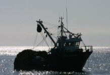 OMC en Argentina intentará avanzar en pesca