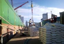 Entre Ríos: se frenaron las exportaciones de arroz