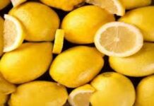 Limones de Tucumán recibieron sello de calidad