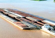 Oficial: Argentina relaja control aduanero sobre carga de Paraguay