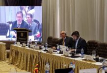 Chile participa de Comisión Política de la OMA
