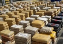 Panamá: decomisan 6 mil paquetes de droga en operación conjunta internacional