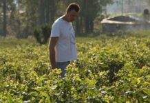 Exporta Simple: More tools are provided for agri-food companies