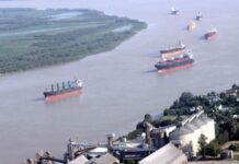Comenzó a funcionar nuevo sistema de control para buques que exportan granos