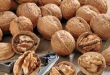 San Juan: certifican 20 toneladas de nueces para la exportación