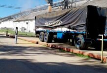 Chaco: certificaron exportaciones de granos de maíz con destino a Uruguay
