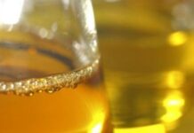 Argentina: Suben al 15% las retenciones al biodiésel