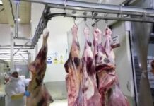 Argentina: Será obligatorio el uso del «Remito Electrónico Cárnico»
