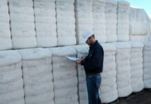 Chaco: Certifican exportaciones de fibra de algodón con destino a Turquía