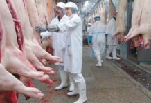 AFIP aplica sistema para controlar comercialización de carne porcina