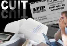 Opinión: Cancelación del Cuit ¿Qué nos enseña la juridisprudencia?