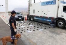 Aduana de Chile secuentró millonario contrabando de cocaína