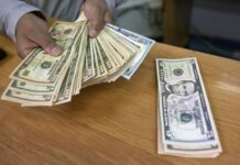AFIP elimina obligación de liquidación de divisas a exportaciones