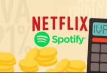 Oficializan el IVA a los servicios digitales como Netflix