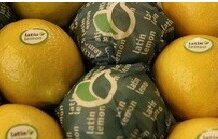Limones argentinos ya se comercializan en EE.UU.