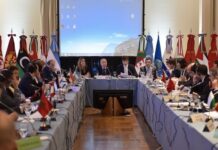 Argentina presidió el Consejo Oleícola Internacional y cerró la sesión con éxito