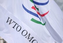 OMC: Tensiones comerciales empiezan a afectar a la economía global