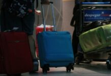 Argentina: Vacaciones de invierno sin moscas de frutos