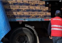 Chile: Aduanas incauta carga con miles de cerveza importada