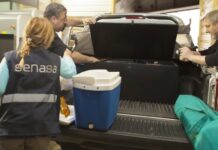 Argentina: Recordatorio para turistas al regresar de vacaciones