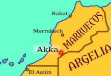 Argentina venderá grasa bovina a Marruecos