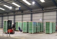 Desde Mercedes exportan mandarinas rumbo a Filipinas