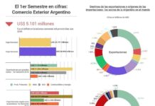 1er semestre en cifras: Comercio Exterior argentino