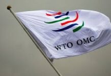 OMC muestra que comercio mundial perderá impulso en tercer trimestre
