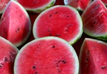 Argentina destruye sandía que no cumplía con requisitos de importación