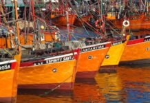 Avanza implementación del Sistema Certificación Electrónica de Pesca