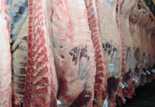 Uruguai: Exportações de carne aumentaram 9% nos primeiros oito meses de 2018