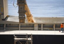 A partir del 18 de septiembre turno online será obligatorio para descarga en puertos