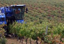 Argentina redujo aranceles a la importación para más bienes de capital