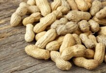 Direitos de exportação sobre produtos agrícolas modificados