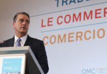 OMC destaca impacto de tecnología digital en aumento del comercio