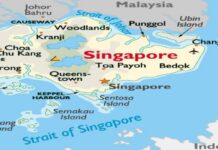 Mercosur y Singapur evaluaron un futuro acuerdo comercial
