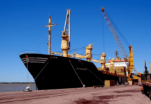 Puertos:Reconocen al Senasa por tansparencia en inspección