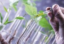 OMC: Argentina presentó Declaración sobre Aplicaciones Agrícolas de Biotecnología de Precisión