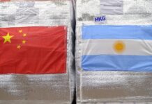 Argentina fez seu primeiro embarque de mirtilos para a China